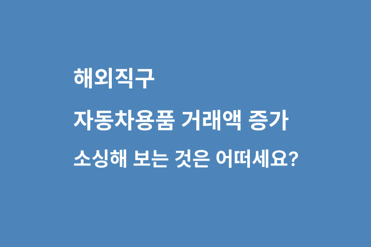 자동차 용품의 직구 거래액이 146% 증가했는데, 소싱해보는 것은 어떠세요?